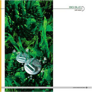 Big Bud - Mr Nice EP (Good Looking Records GLREP003V, 1998) :   