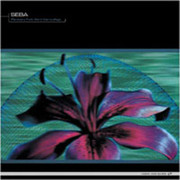 Seba - Planetary Funk Alert / Camouflage (Looking Good Records LGR016, 1998)