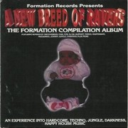 various artists - A New Breed Of Ravers (Formation Records FORMCD001, 1993) :   