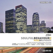 DJ Frenzic - Soulful Behaviour 2 (Defunked DFUNKDCD03, 2004) :   