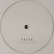 Calyx - The Wasteground EP (Moving Shadow MSXEP018, 2002) :   