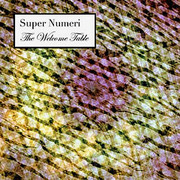 Super Numeri - The Welcome Table (Ninja Tune ZENCD097, 2005) :   