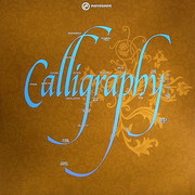 various artists - Calligraphy EP (Renegade Recordings RWARE05, 2007) :   