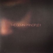 D-Bridge - The Gemini Principle part II (Exit Records EXIT012, 2008) :   