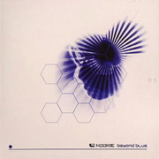 Nookie - Beyond Blue (Phuzion Records PHUZIONLPCD001, 2007) :   