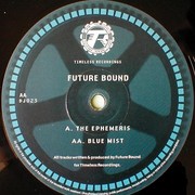 Futurebound - The Ephemeris / Blue Mist (Timeless Recordings DJ023, 1996) :   