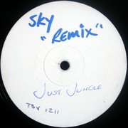 Just Jungle - Sky (Remixes) (Trouble On Vinyl TOV12011, 1995) :   