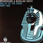 Drumsound & Bassline Smith - Valley Of The Kings part 2 (Technique Recordings TECH030, 2005) :   