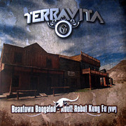 Terravita - Beantown Boogaloo / Adult Robot Kung Fu (VIP) (Technique Recordings TECH053, 2008) :   