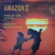 Amazon II - King Of The Beats / Music's Hypnotizing (Aphrodite Recordings APH024, 1996) : посмотреть обложки диска