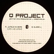 Q Project - Jungle Is Dead / Bless You (Machine Funk MF004, 2007) :   
