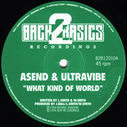 Asend & Ultravibe - What Kind Of World / The Promise (Back 2 Basics B2B12010, 1994) :   