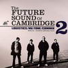various artists - Future Sound Of Cambridge 2 EP (Hospital Records NHS106, 2006, vinyl 2x12'')