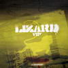 various artists - Lizard VIP (Infrared Records INFRA022, 2002, vinyl 12'')