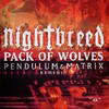 Nightbreed - Pack Of Wolves (Remixes) (RAM Records RAMM052, 2004, vinyl 12'')