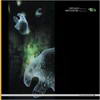 various artists - Equinox / Karizma (Good Looking Records GLR031, 1999, vinyl 12'')