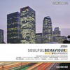DJ Frenzic - Soulful Behaviour 2 (Defunked DFUNKDCD03, 2004, CD, mixed)