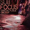 Sub Focus - Special Place / Druggy (RAM Records RAMM063, 2007, vinyl 12'')