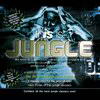 various artists - This Is Jungle (Beechwood Music BEBOXCD07, 1996, 2xCD compilation)