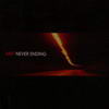 Amit - Never Ending (Commercial Suicide SUICIDECD005, 2006, CD)