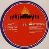 Amit - Village Folk / Lost Voices (Commercial Suicide SUICIDE017, 2004, vinyl 12'')