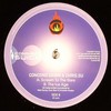 Chris SU & Concord Dawn - Scream To The Stars / Ice Age (Commercial Suicide SUICIDE036, 2007, vinyl 12'')