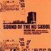 various artists - Sound Of The Nu Skool (Fresh FRSHCD08, 1999, CD, mixed)