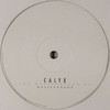 Calyx - The Wasteground EP (Moving Shadow MSXEP018, 2002, vinyl 2x12'')