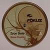 various artists - Snow Country / String Thing (Fokuz Recordings FOKUZ027, 2007, vinyl 12'')