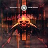 Resonant Evil - Troubleshoot / Salamol (Renegade Hardware RH051, 2003, vinyl 12'')