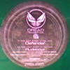 Dark Soldier vs Ray Keith - Defender / Rudeboyz (Dread Recordings DREADUK010, 2008, vinyl 12'')