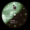 Kemal & Rob Data - Submerge / Test Tube (Timeless Recordings TYME004, 2000, vinyl 12'')