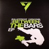 various artists - Between The Bars EP (Syndrome Audio SYNDROME009, 2008, vinyl 2x12'')