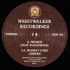 Nightwalker - Promos / Wonkey Eyed Lesbian (Nightwalker Recordings NWR002, 2007, vinyl 12'')