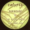 DJ Pleasure - The Killing Curse / New York City (Calypso Muzak CALYPSO009, 2008, vinyl 12'')