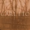 Carlito - Grapevine / Diffusion Room (Creative Source CRSE005, 1996, vinyl 12'')