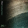 Mutt - Treading Water (Inside Recordings INSIDECD001, 2009, CD)