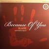 Blame - Because Of You / Bring Me Down (720 Degrees 720NU033, 2009, vinyl 12'')