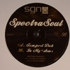 Spectrasoul - Tempest Dub / In My Arms (SGN:LTD SGN001, 2006, vinyl 12'')