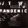 Cause 4 Concern - Pandemic LP Part 2 (Cause 4 Concern C4CUK002, 2008, vinyl 12'')