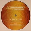 J Majik & Gil Felix - Capoeira (Infrared Records SPECTRUM001, 2008, vinyl 12'')