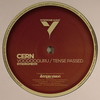 Cern - Voodooguru / Tense Passed (Syndrome Audio SYNDROME011, 2008, vinyl 12'')
