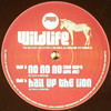 The Wildlife Collective - No No No / Hail The Lion (Jungle Cakes JC002, 2009, vinyl 12'')
