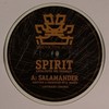 Spirit - Salamander / Holding Back (Inneractive Music INNA020, 2007, vinyl 12'')