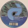 Junior Cartel - Somebody / Visionary Deeper (Dub Mix) (Renegade Recordings RR51, 2004, vinyl 12'')