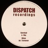 various artists - Sky / Turnover (Dispatch Recordings DIS031, 2009, vinyl 12'')