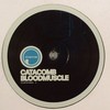 various artists - Bloodmuscle / Shuddervision (Smptm SMPTM001, 2008, vinyl 12'')