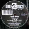 Dred Bass - World Of Music (Remixes) (Back 2 Basics B2B12034, 1995, vinyl 12'')