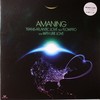 Amaning - Trans-Atlantic Love / With Ure Love (Allsorts ALLSORTS016, 2009, vinyl 12'')