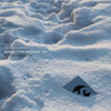 Alaska - The Mesozoic Era (Arctic Music AMLPCD01, 2010, CD)